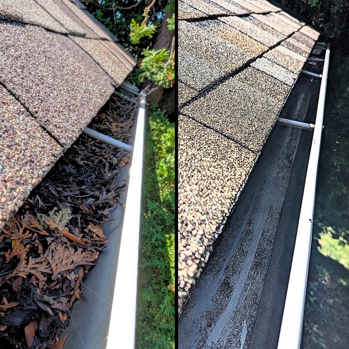 Before left and after right gutter cleaning showing debris removed